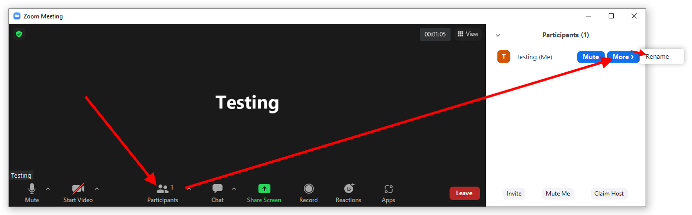 Arrow pointing at the Participants icon, then More, then Rename